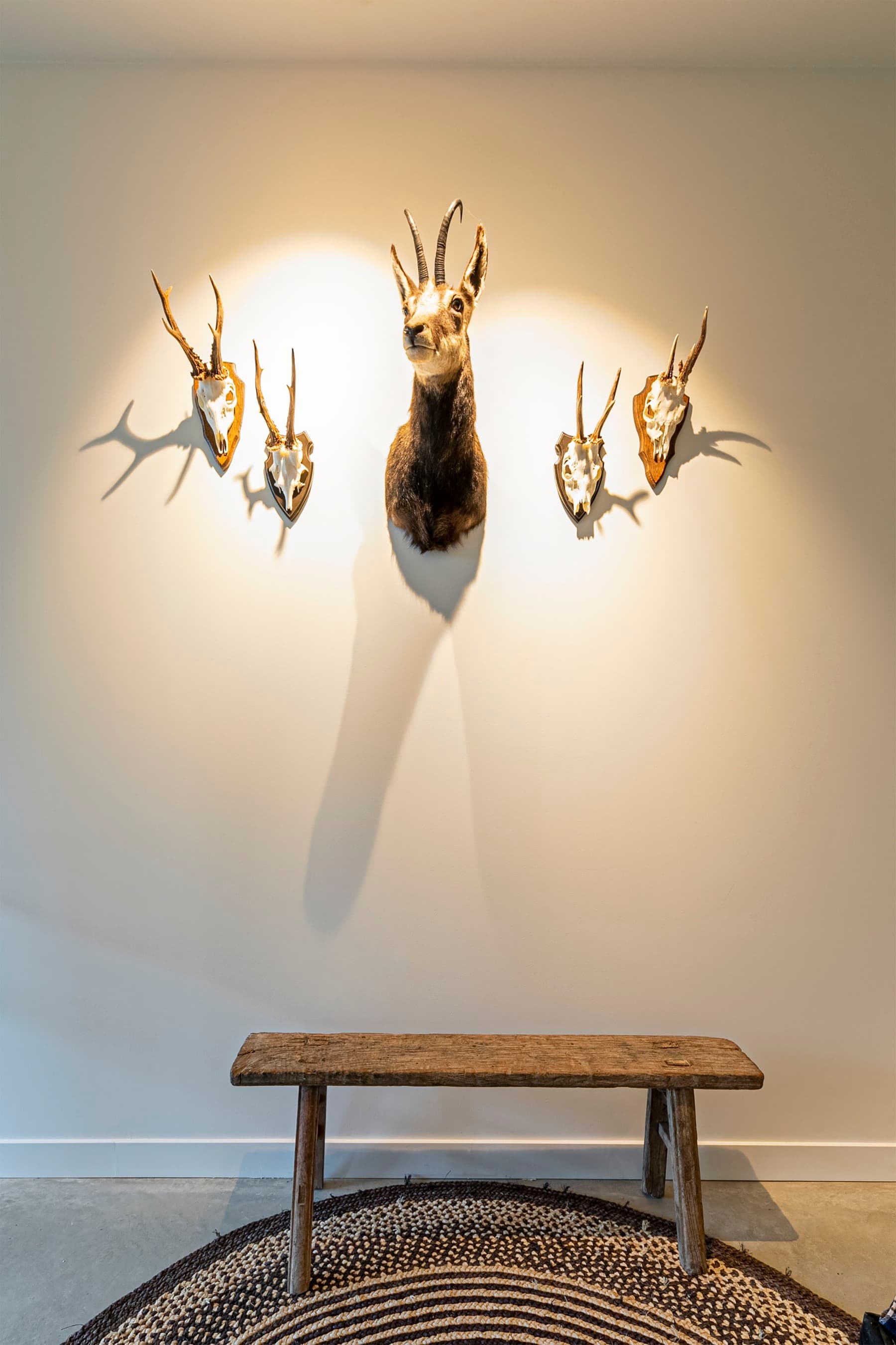 Loft Geel